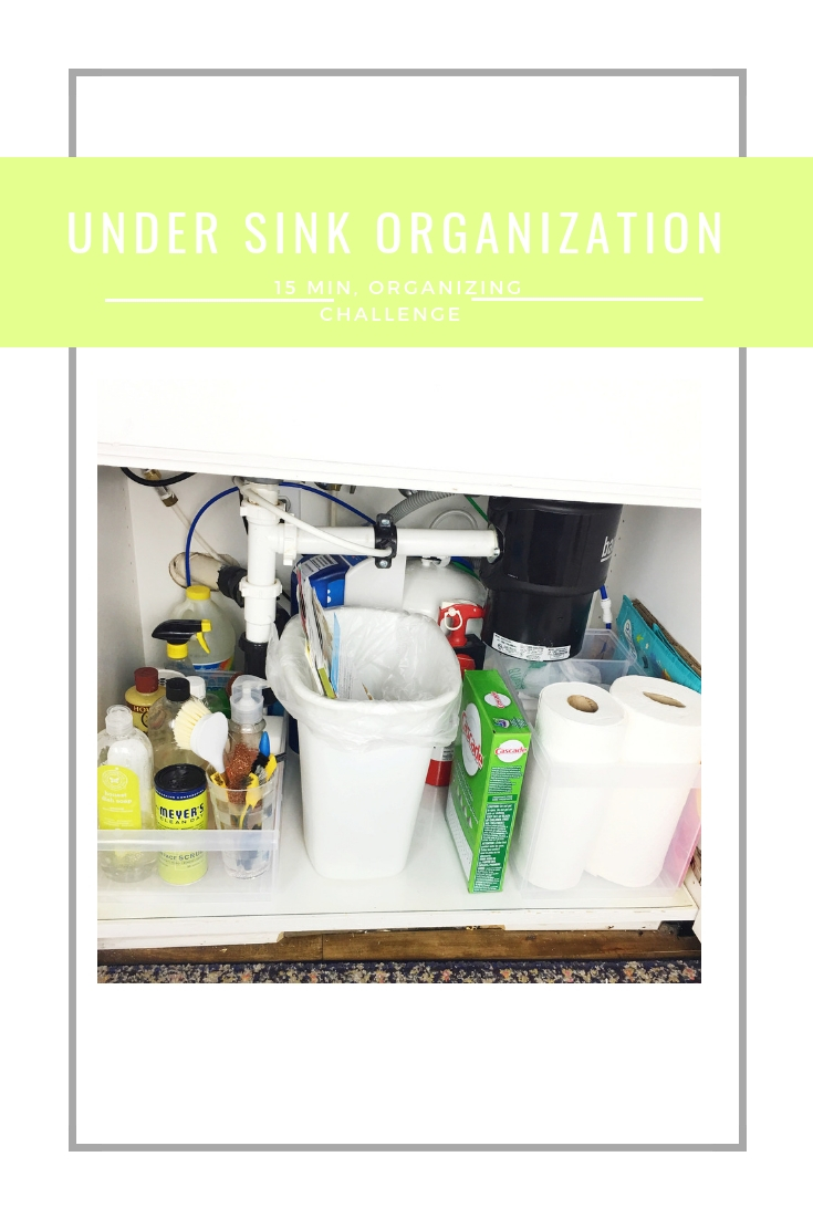 get organized, 15 minute organizing challenge, under sink organizing challenge, Utah organizer, professional organizer, how to organize, before and afters of organizing, kitchen organization, how to organize cleaning supplies, under sink organization